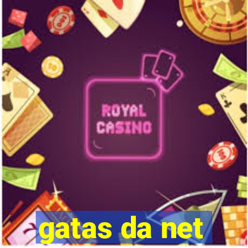 gatas da net